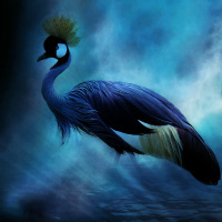 133 - Restoring Wonder: Hongzhis Guidepost of Silent Illumination - Part 2