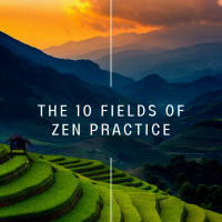 263 - Ten Fields of Zen Practice Chapter 3, Part 1 - Zazen – Our Total Response to Life