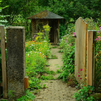 183 – Natural Koans: Engaging Our Limitations as Dharma Gates