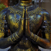 110 - How Understanding Impermanence Can Lead to Great Appreciation