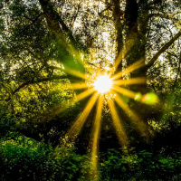139 - Suchness: Awakening to the Preciousness of Things-As-It-Is