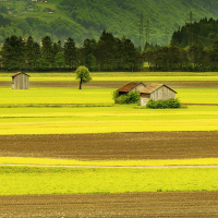 102 – Nine Fields of Zen Practice: A Framework for Letting Practice Permeate Your Life – Part 3
