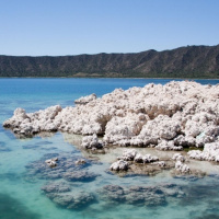 Lago Alchichica un antigüo crater volcánico salado. Biología. Tras las Huellas de la Naturaleza.
