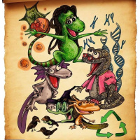 ¿Cuánta agua hay en la tierra? Biología. Tras las Huellas de la Naturaleza.