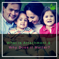 EP 5: What is Attachment and Why Does it Matter?
