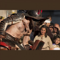 How to Make Bread and Circuses