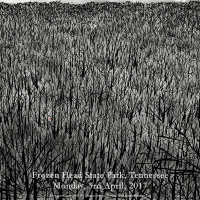 BusinessJazz - Season 3 - Episode 15 - Is a Good Story Better Than a True One?