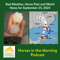 HITM for September 25, 2024: Bad Weather, Horse Pain and Weird News