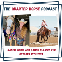 Quarter Horse: Ranch Riding and Ranch Classes for October 15th, 2024 - HORSES IN THE MORNING