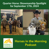 Quarter Horse: Showmanship Spotlight for September 17th, 2024 - HORSES IN THE MORNING