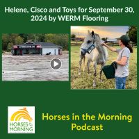 HITM: Helene, Cinco and Toys for September 30, 2024 by WERM Flooring