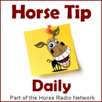 Horse Tip Daily 1446 by Wintec Saddles: Equine Anhidrosis