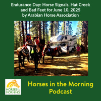 Endurance Day: Horse Signals, Hat Creek and Bad Feet for June 10, 2025 by Arabian Horse Association - HORSES IN THE MORNING