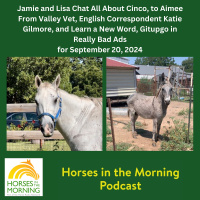HITM for September 20, 2024: Jamie and Lisa Chat All About Cinco, to Aimee From Valley Vet, English Correspondent Katie Gilmore, and Learn a New Word, Gitupgo in Really Bad Ads