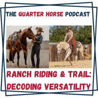 Quarter Horse: Ranch Riding  Trail: Decoding Versatility - HORSES IN THE MORNING