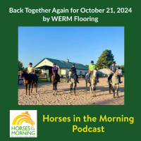 HITM for October 21, 2024: Back Together Again by WERM Flooring