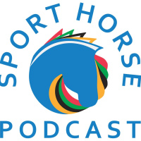 Sport Horse 14: Decoding Equine Movement to Identify Soundness Issues