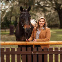 Contracts in the Equine Industry - Equestrian B2B