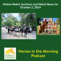 HITM for October 2, 2024: Helene Relief, Auctions and Weird News
