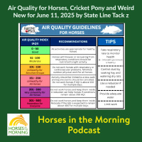 Air Quality for Horses, Cricket Pony and Weird New for June 11, 2025 by State Line Tack - HORSES IN THE MORNING