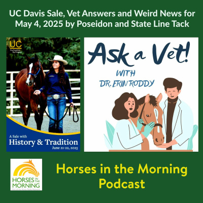 All Shows Feed | Horse Radio Network
