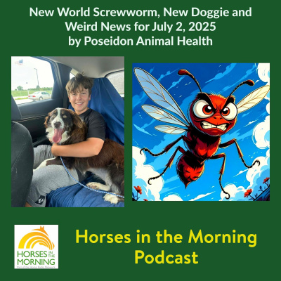 All Shows Feed | Horse Radio Network
