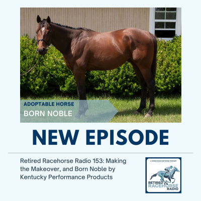 All Shows Feed | Horse Radio Network