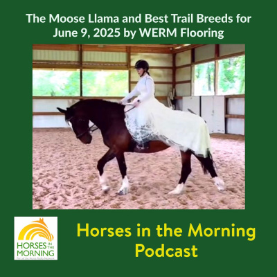 All Shows Feed | Horse Radio Network