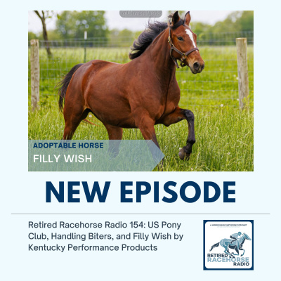All Shows Feed | Horse Radio Network