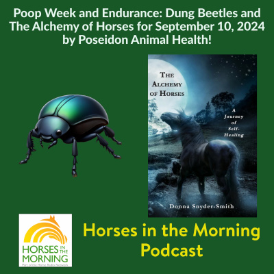 All Shows Feed | Horse Radio Network