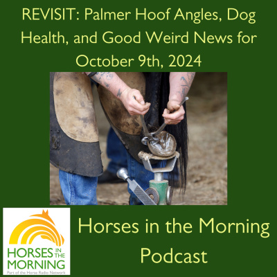 All Shows Feed | Horse Radio Network