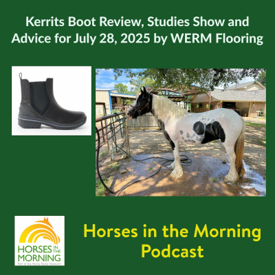 All Shows Feed | Horse Radio Network