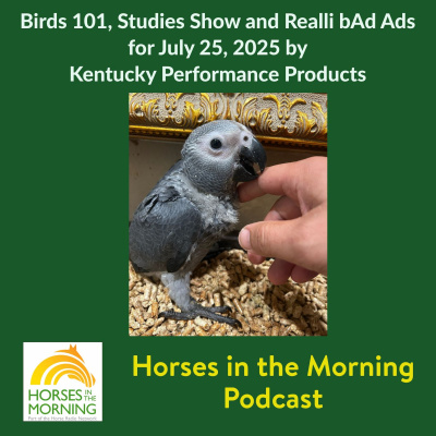 All Shows Feed | Horse Radio Network