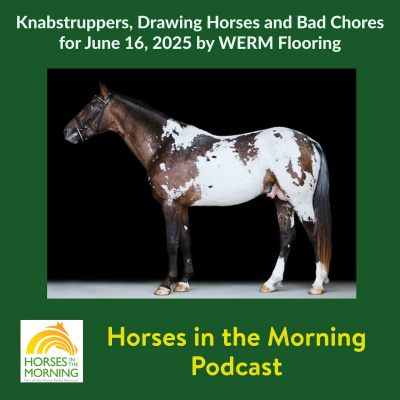 All Shows Feed | Horse Radio Network
