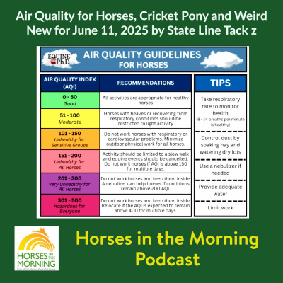 All Shows Feed | Horse Radio Network