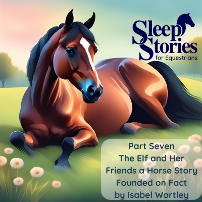 All Shows Feed | Horse Radio Network
