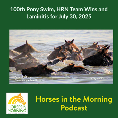All Shows Feed | Horse Radio Network