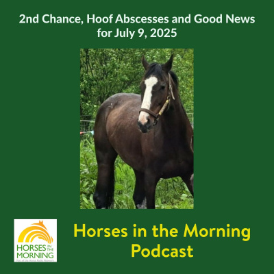 All Shows Feed | Horse Radio Network