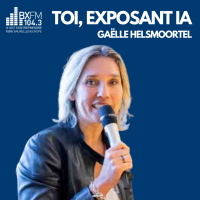 Toi Exposant IA -Gaelle Helsmoortel - IA - Les trucs pour se protéger