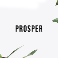 Prosper: Part 2