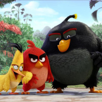 S1 Ep11: Angry Birds