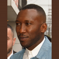 Mini Unit #37 – Green Book (#OscarsUnit)