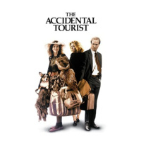 Going on 30: The Accidental Tourist