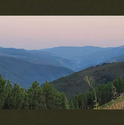 Popping Collars Podcast