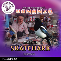 119. Skatchark - Nyhetstorksbonanza 2.0