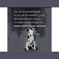 Ask Sue is joined by Advocates