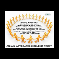 Ask Sue Animal Advocate Show. All Advocates Welcome Worldwide