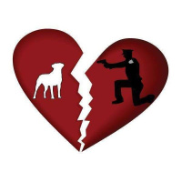 Ask Sue - Dogs Shot by Police Update. Please call in with queries