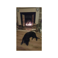 Ask Sue Psychic Show with Janet Russell Long Island.