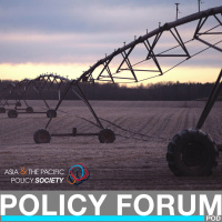 Water waste: the dangerous paradox of irrigation efficiency